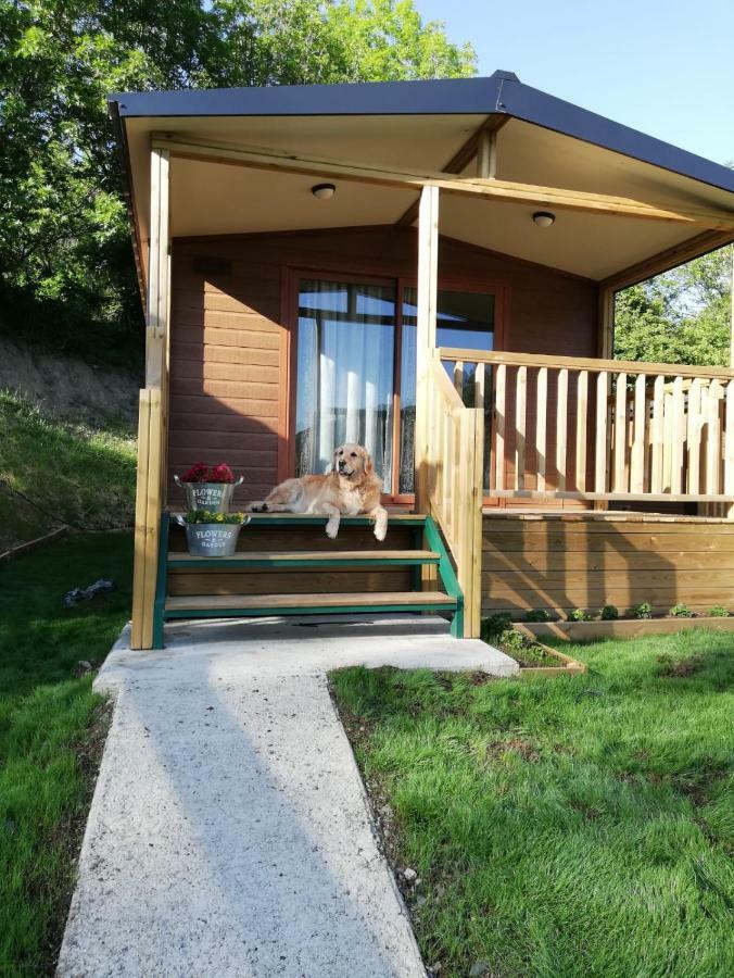 Panticosa Lodge エクステリア 写真